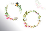 Wildflowers, a Decorative Illustration by Daria Ustiugova (Thumbnail 8 of 14)