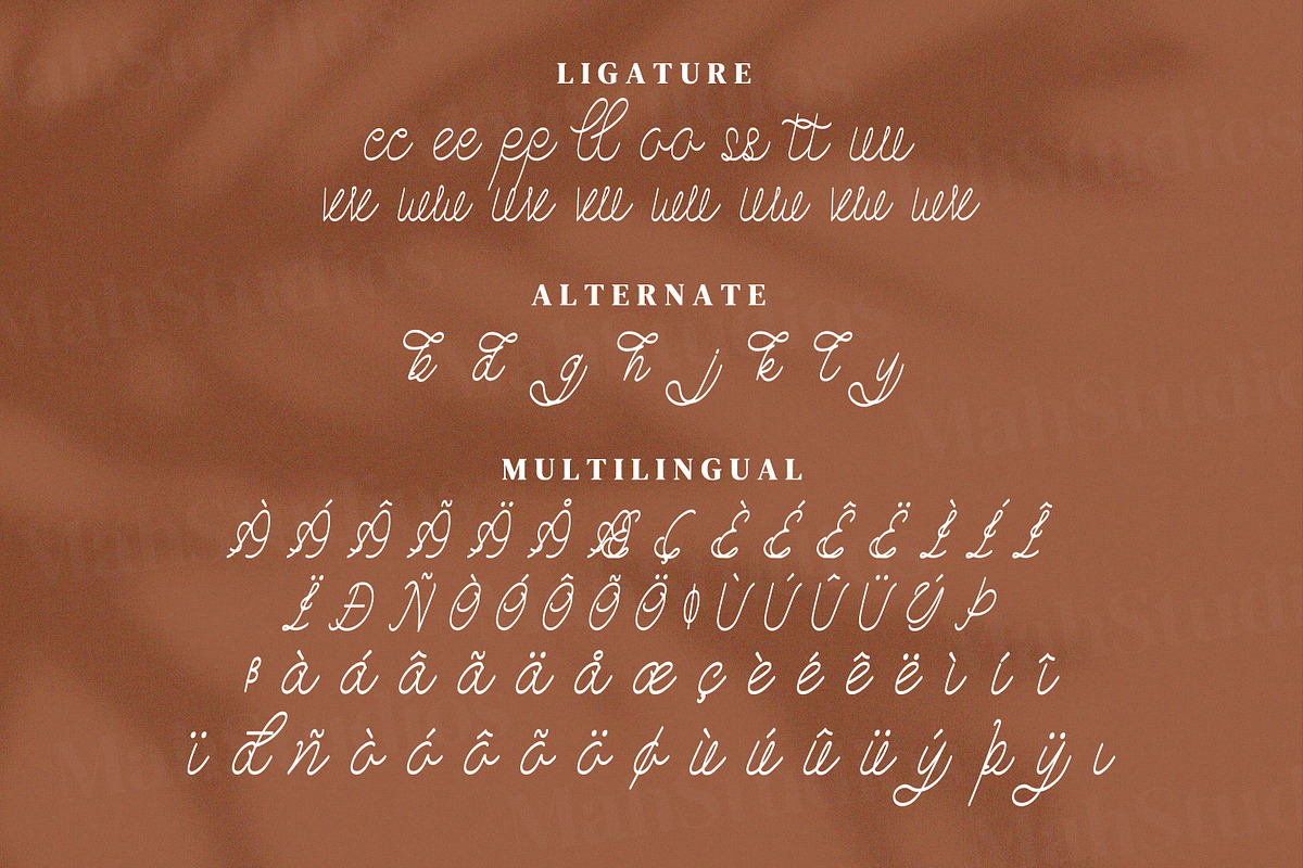 Grolly Script Fonts, a Script Font by mahstudios (Photo 14 of 16)