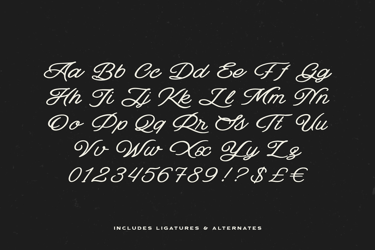 Salt Lake & Extra, a Handwritten Font by Davide Bassu (Photo 7 of 8)