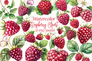 Watercolor Raspberry Clipart, an Illustration by Libby Wishes