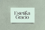Readymates Elegant Serif Font, a Serif Font by UICreative (Thumbnail 9 of 13)