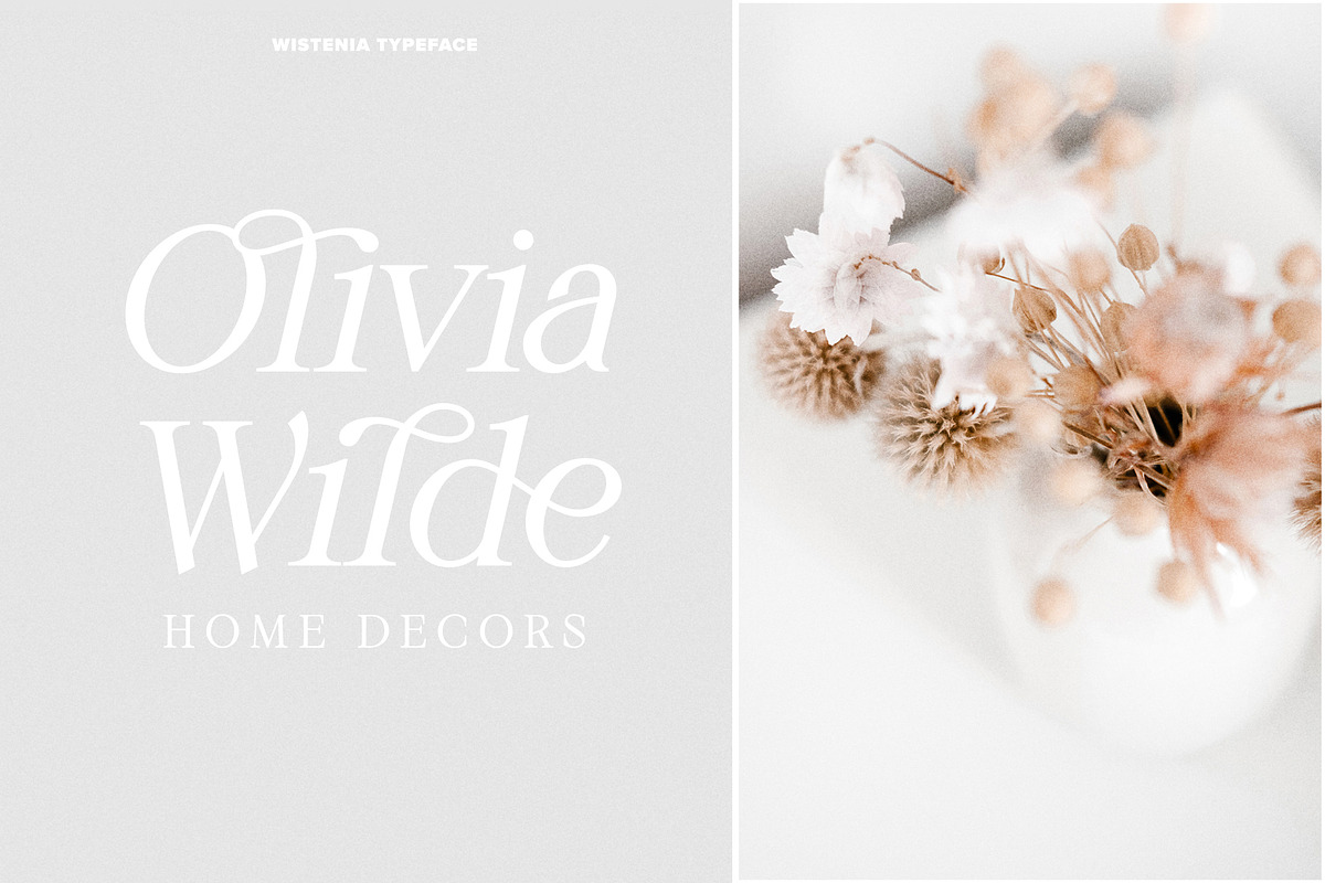 Wistenia Typeface, a Serif Font by Ivan Rosenberg (Photo 7 of 18)