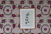 Mulberry Night Lace & Florals, a Seasonal Illustration by Catch the Dream Art (Thumbnail 12 of 14)