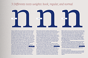 Chucara next, a Serif Font by Letritas (Thumbnail 6 of 14)
