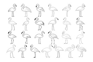 50 Flamingo Procreate Stamps