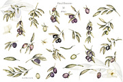 Watercolor Olives collection, a Graphic by MayaNavits (Thumbnail 7 of 25)