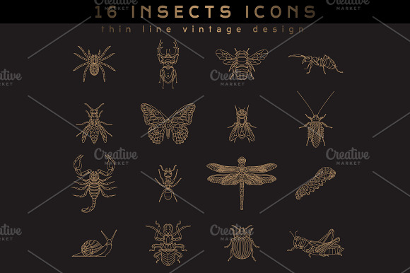 16 Insect Icons preview 2