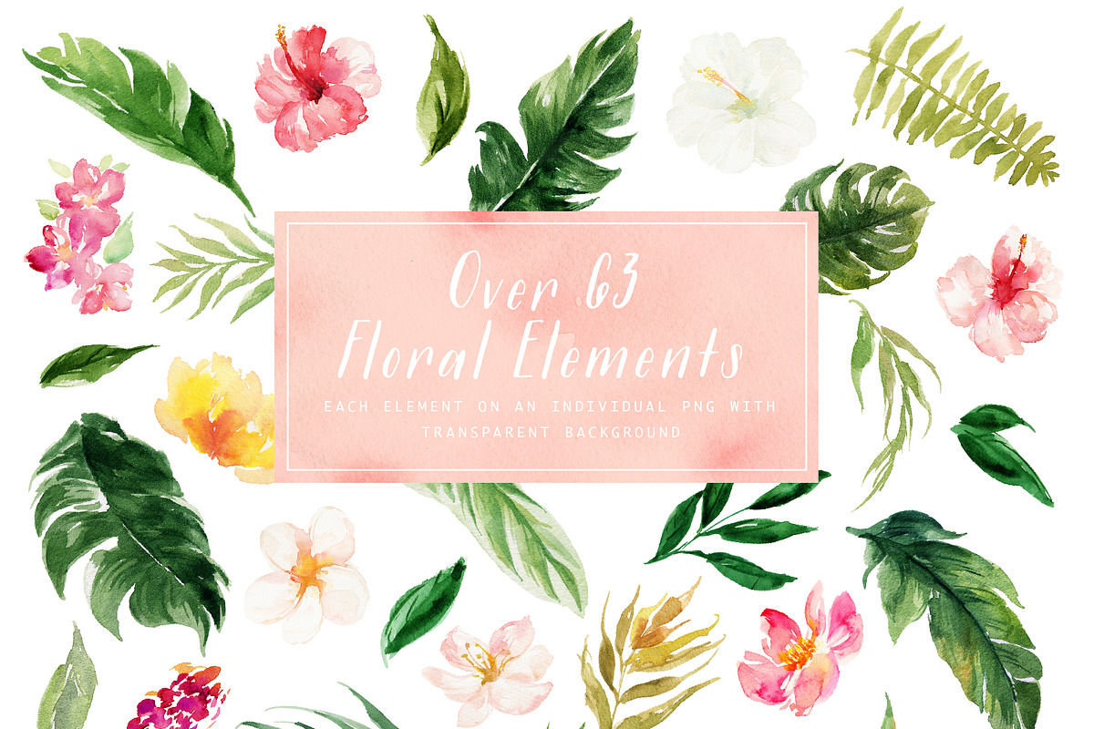 Summer Design Set-Tropical, an Animal Illustration by Graphic Box (Photo 9 of 9)
