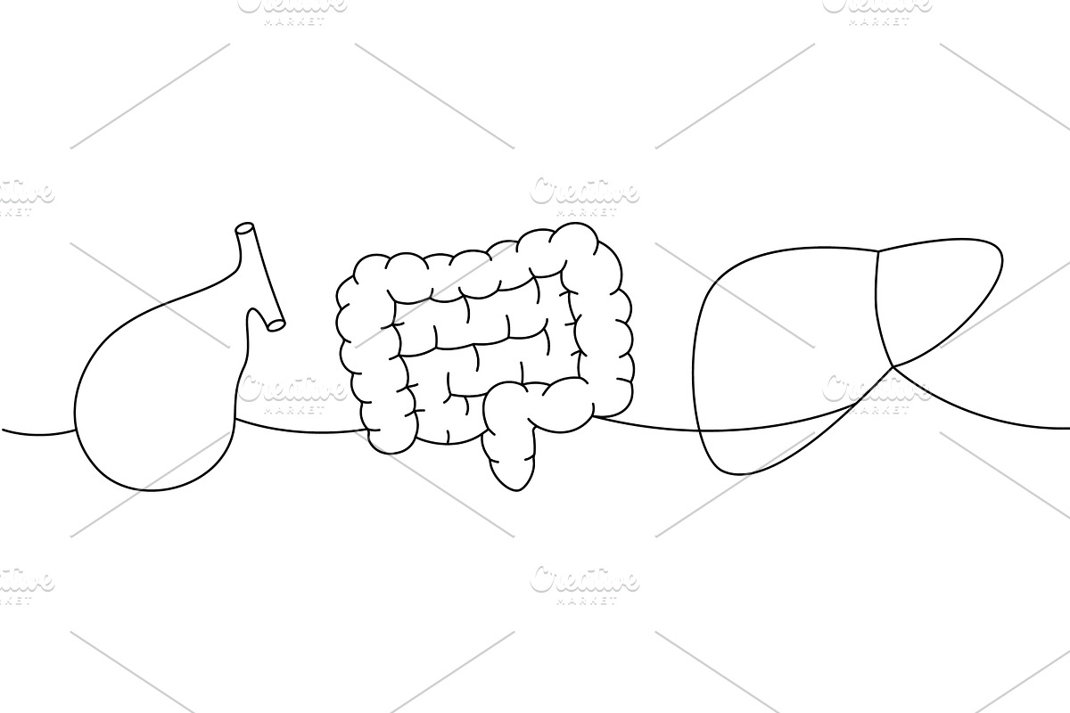 Set of human organ one line, a Healthcare Illustration by GraphiShop
