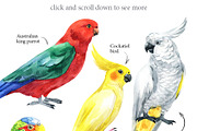 Parrots-watercolor set, an Animal Illustration by KatBranchArt (Thumbnail 2 of 5)