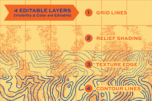 Topographic Map Pattern Vector