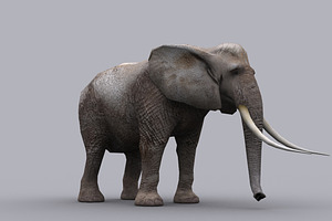 ELEPHANT with Native File