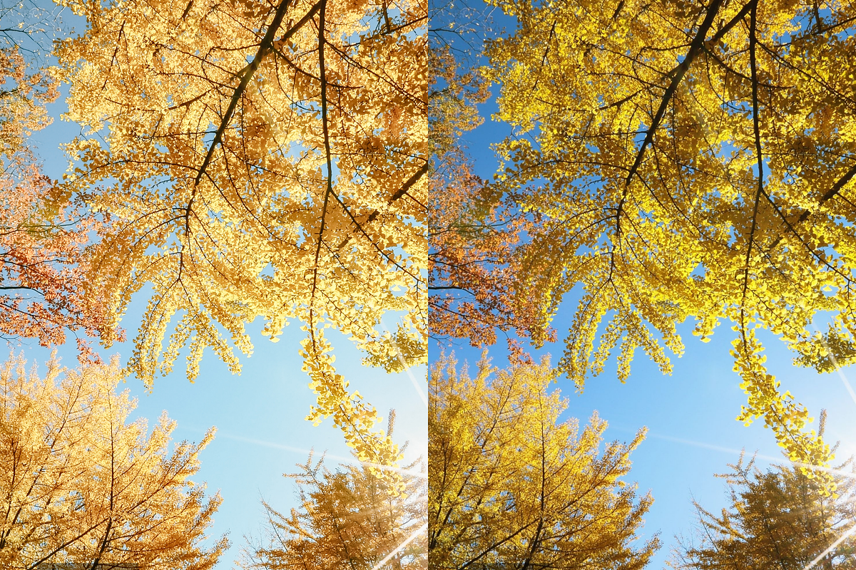 10 Sunshine Lightroom Presets, a Preset Add-On by RamsaGraphi (Photo 8 of 10)