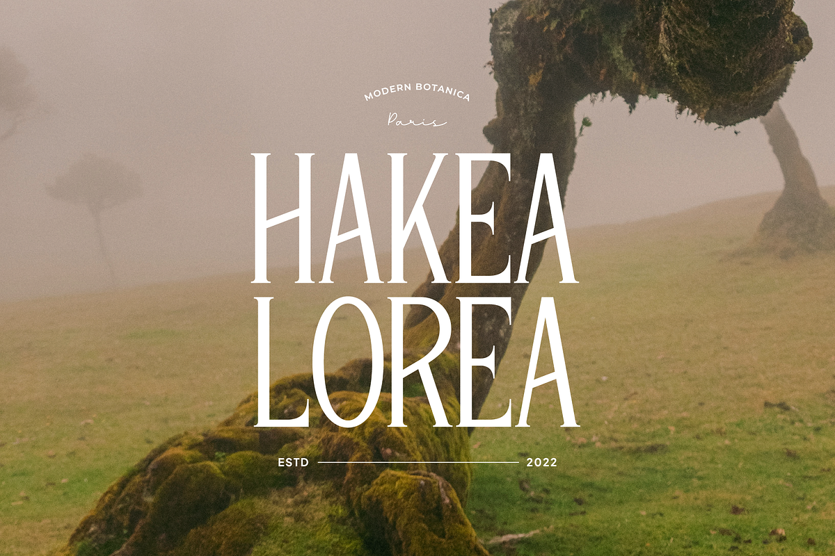 Arakiya | Unique Condensed Serif, a Serif Font by Denustudios (Photo 6 of 15)