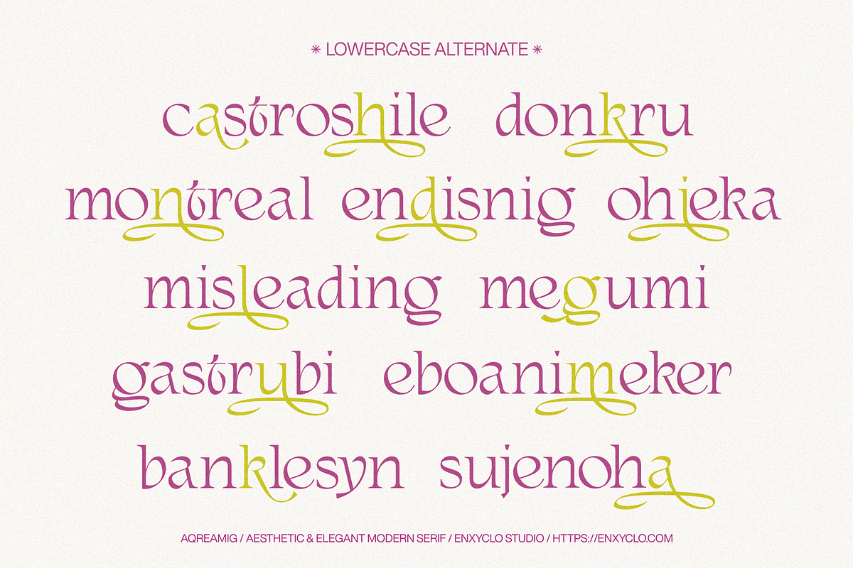 AQREAMIG — Luxury Ligature Serif, a Serif Font by Enxyclo Studio (Photo 20 of 25)