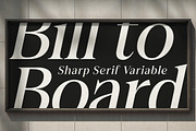 Felgiora, a Serif Font by Propertype (Thumbnail 7 of 16)