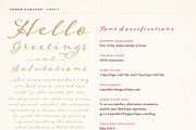 Adorn Collection, a Sans Serif Font by Laura Worthington (Thumbnail 15 of 62)
