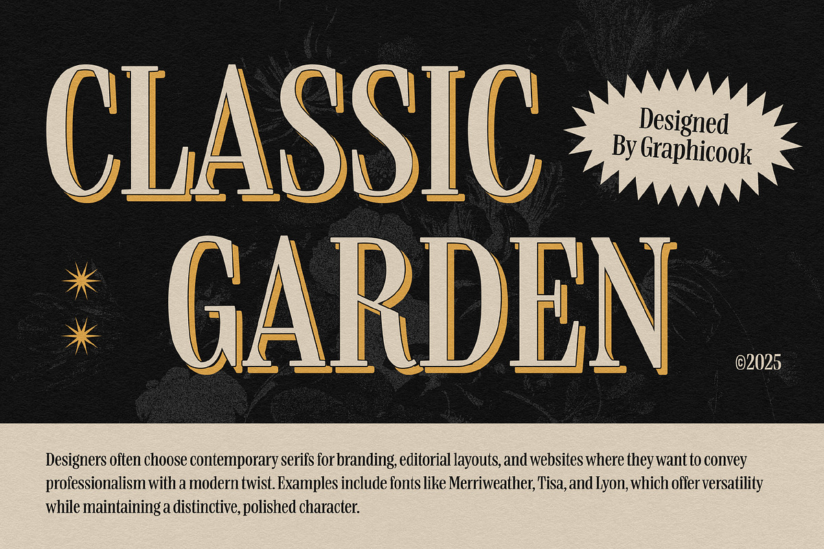 Boldentia, a Serif Font by graphicook (Photo 7 of 10)