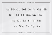 Vionie Sans Serif Font, a Sans Serif Font by Ermedia Studio (Thumbnail 9 of 12)