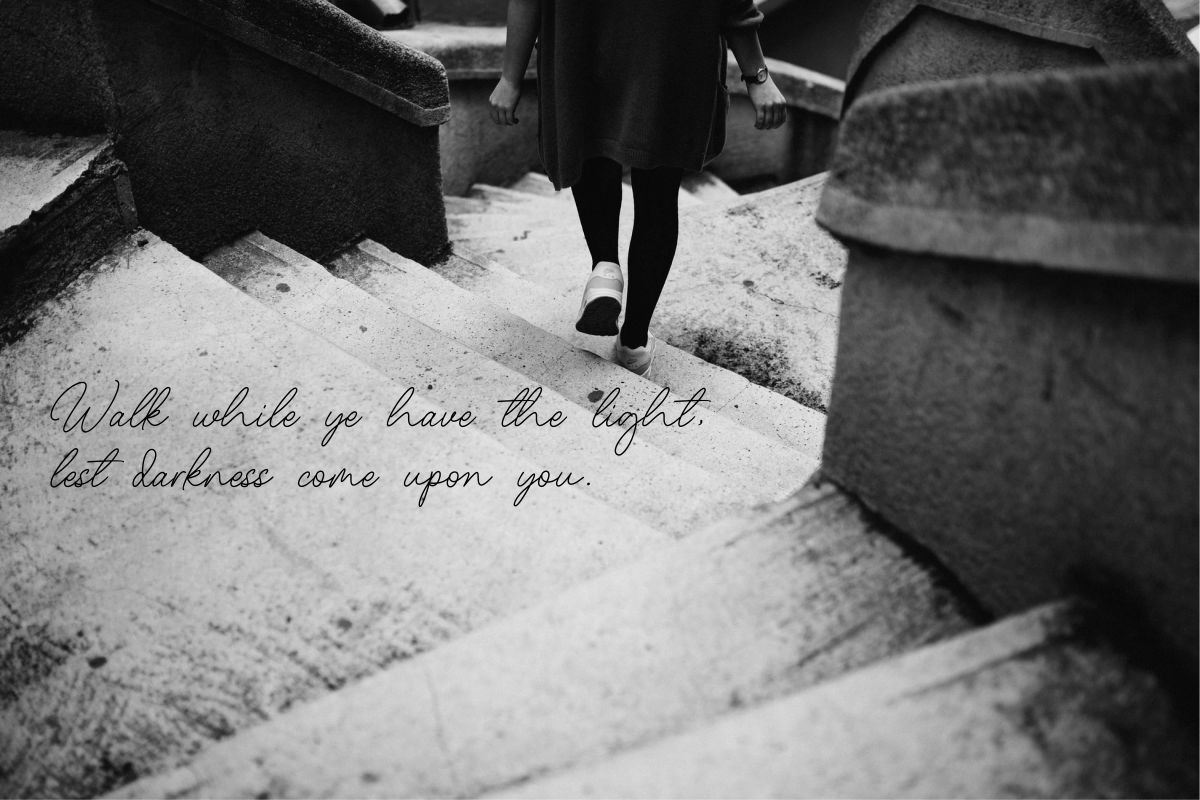 Michellina Handwritten Font, a Handwritten Font by typeline studio (Photo 3 of 9)