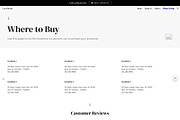 Local Brand 2 | GoogleSite Wireframe, a Templates & Theme by Template Heaven (Thumbnail 3 of 4)