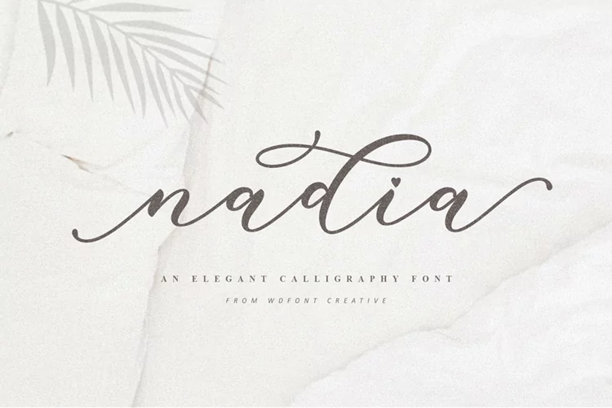 Nadia Script | Lovely Calligraphy, a Script Font by WDfont (Photo 2 of 10)