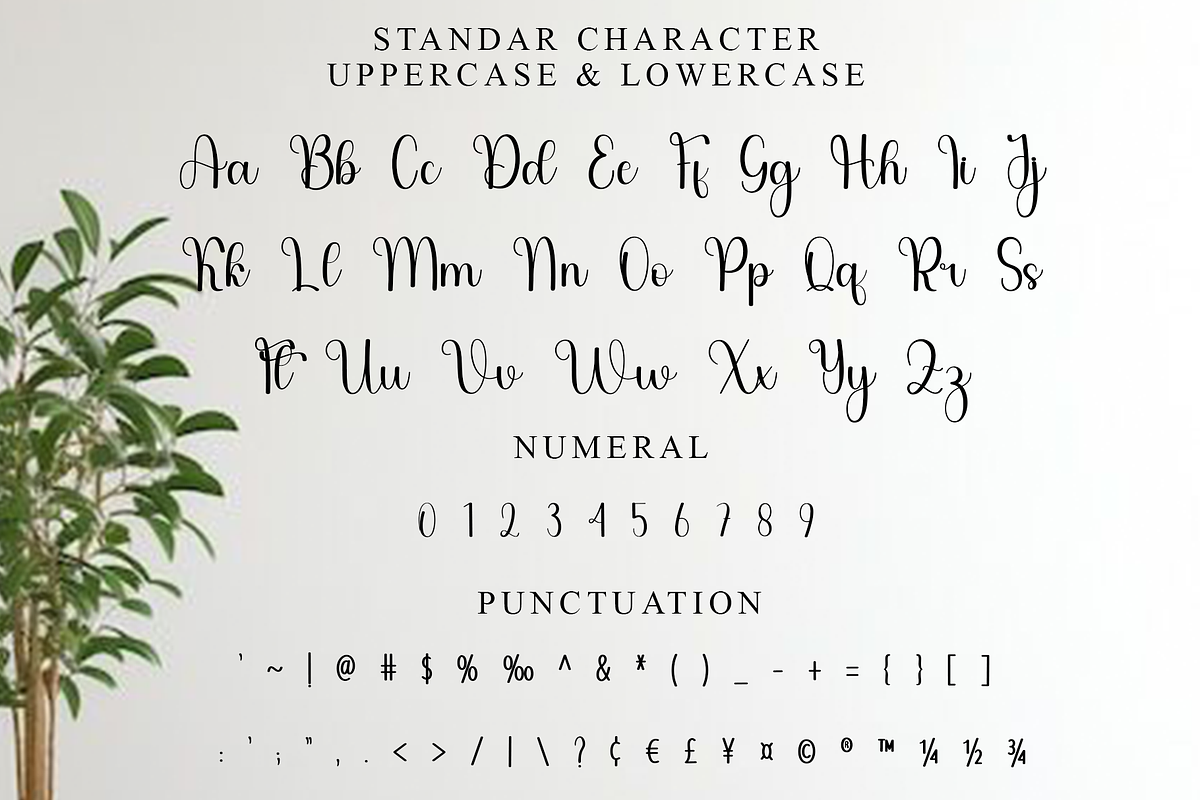 Beautica, a Handwritten Font by FreshTypeINK (Photo 4 of 8)