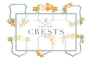 Mimosa Design Set | Oranges + Floral, an Illustration by Relish Designs (Thumbnail 5 of 6)
