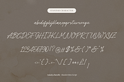 Anindya Barielle Handwritten Script, a Script Font by Denustudios (Thumbnail 12 of 15)