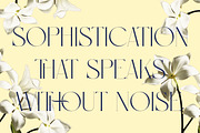 Diemha - Elegant Serif Font, a Serif Font by Muflieart (Thumbnail 7 of 10)