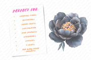 Glitter Luxury Black Spring Flower, an Illustration by Watercolor design (Thumbnail 8 of 12)