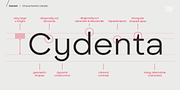 BF Garant, a Sans Serif Font by BrassFonts (Thumbnail 6 of 14)