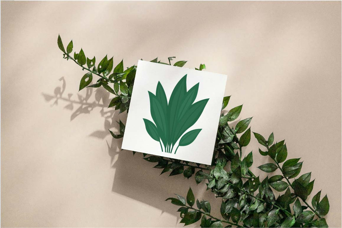 19 Tropical Leaves Foliage Plant, a Decorative Illustration by jongcreative (Photo 6 of 6)