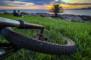 Mountain bike front wheel lying over grass at waterfront park, m, a Transportation Photo by DanFLCreativo