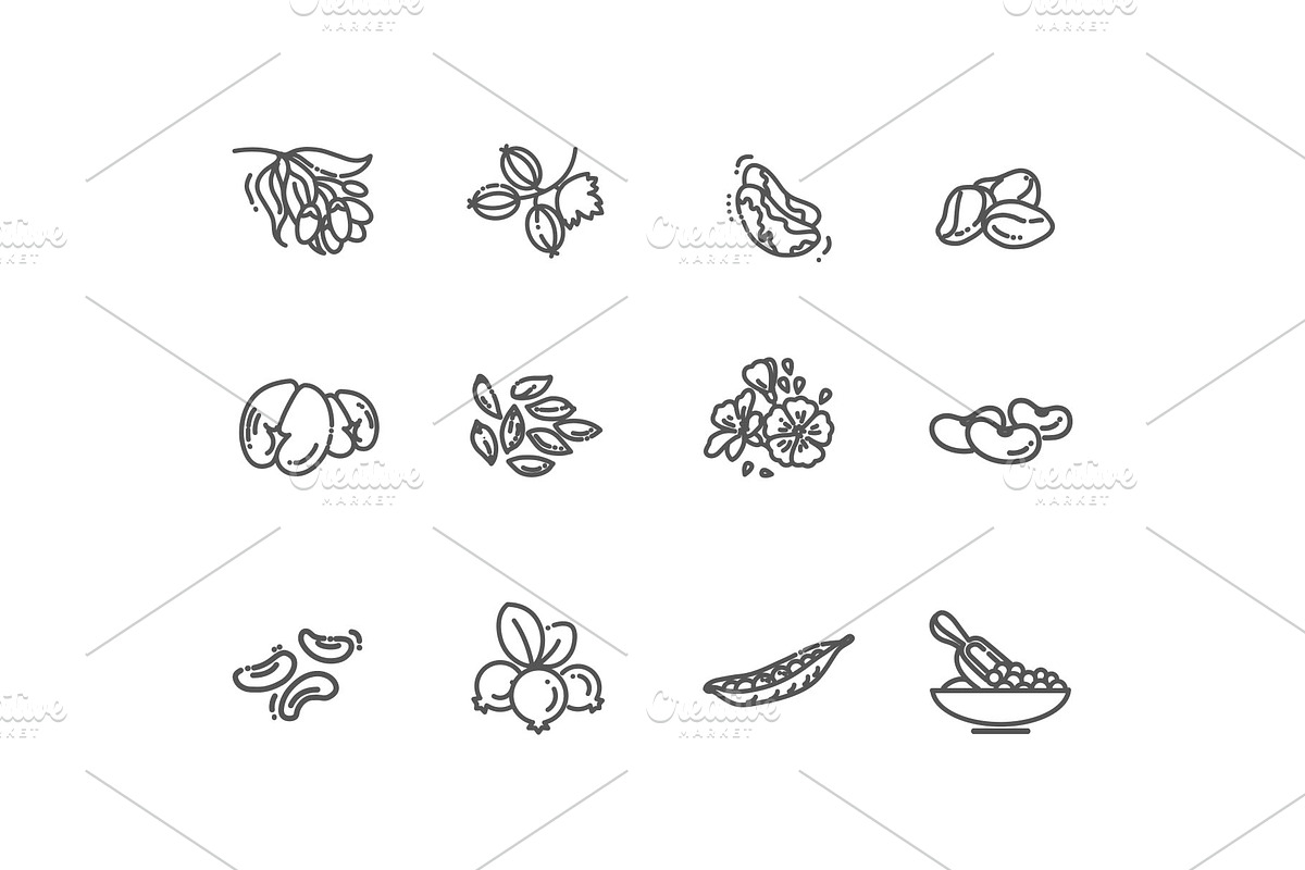 Plant Seed and Nuts vector icon set, an Object Illustration by Tettygreen (Photo 3 of 3)