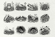 Snake Illustration Set, an Animal Illustration by DENIDigitalArtSudio (Thumbnail 7 of 8)