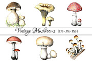 Pencil vintage mushrooms., a Food Illustration by Vikeriya (Thumbnail 1 of 5)