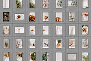 Farmhouse Fall Styled Stock Photos, a Holiday Photo by LaPorte Images (Thumbnail 11 of 12)