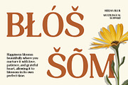 Heidan Blur, a Serif Font by Craft Supply Co. (Thumbnail 3 of 8)