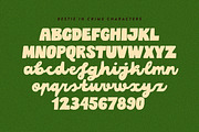 Best-sellers Vibe Fonts Bundle, a Script Font by Struvictory.art (Thumbnail 5 of 18)