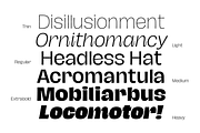 Hagrid 24 fonts + 4 variables, a Sans Serif Font by Zetafonts (Thumbnail 7 of 17)