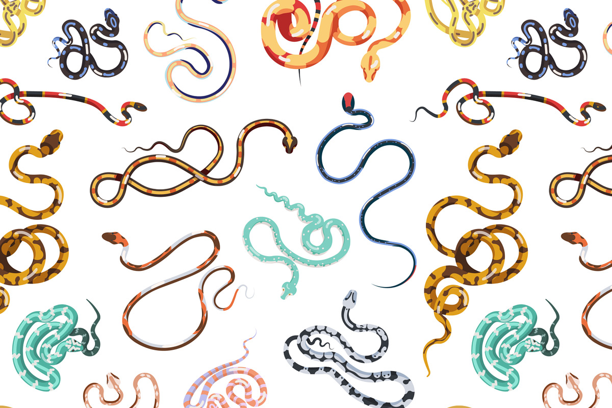 Snakes set and seamless, an Animal Illustration by Good Studio (Photo 6 of 10)