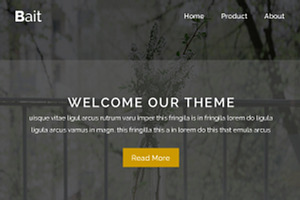 Bait - Responsive Email Template