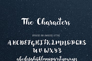 Brownie Brush Fonts, a Script Font by kavoon (Thumbnail 8 of 8)
