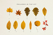 BUNDLE - Dry Flowers & Leaves, an Object Graphic by Sparrow & Snow (Thumbnail 20 of 28)