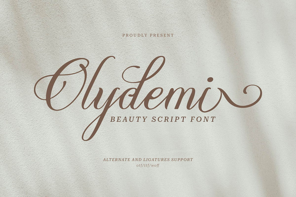 Olydemi | Beauty Script, a Script Font by Denustudios (Photo 1 of 13)