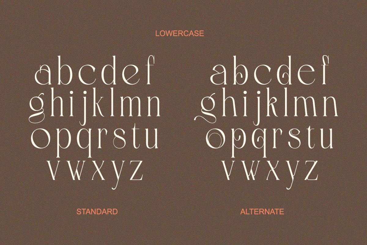 Roselight - Modern Elegant Display, a Serif Font by Qweera Studio (Photo 11 of 12)