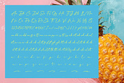 Davincy Jarkol Handwritten Brush, a Script Font by stylishtype.co (Thumbnail 9 of 10)