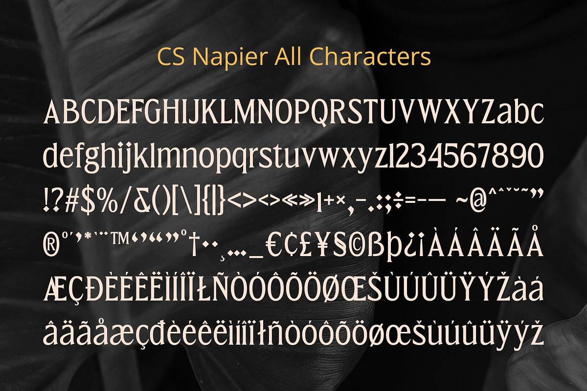 CS Napier – Modern Font, a Serif Font by Craft Supply Co. (Photo 8 of 8)