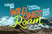 Dog Days Fonts & Extras 50% OFF!, a Script Font by Fenotype (Thumbnail 5 of 9)